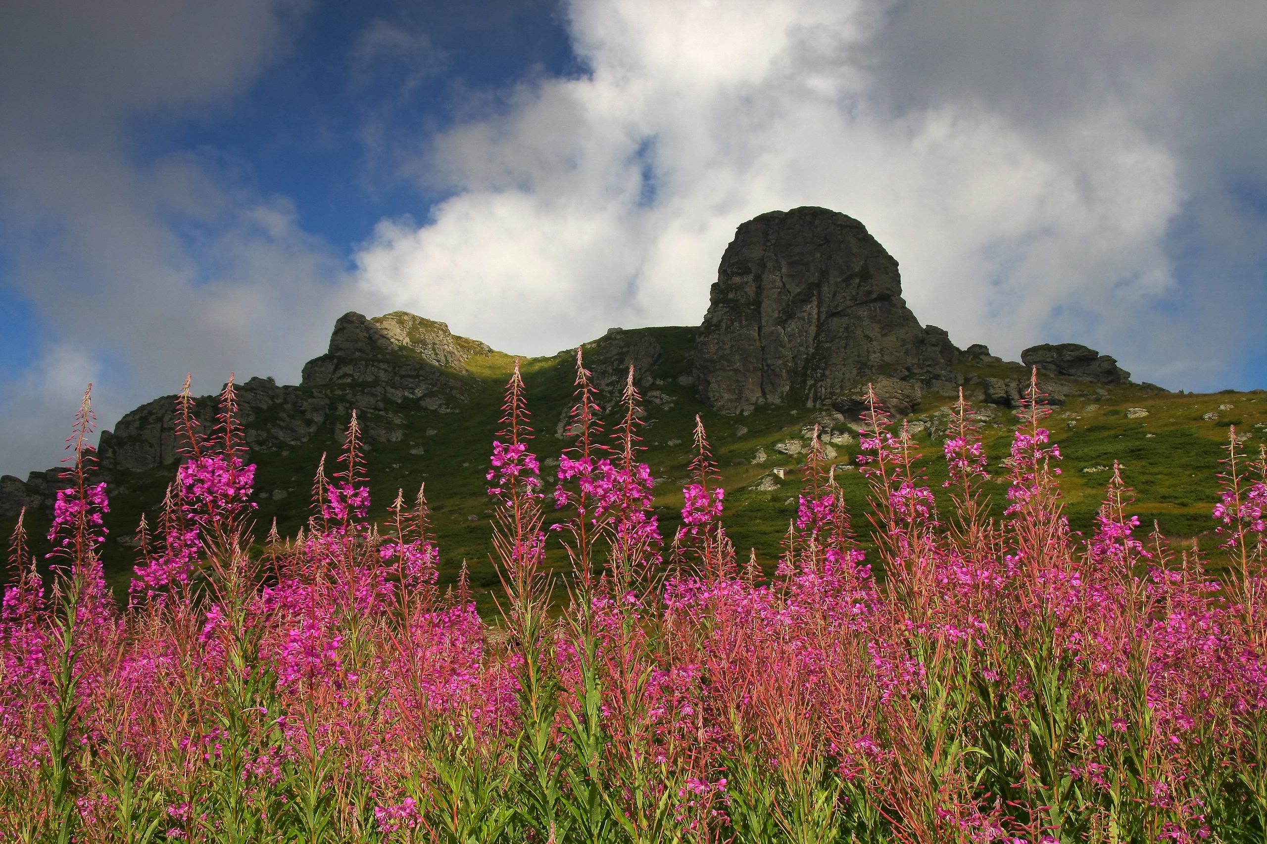 Stara planina16 scaled